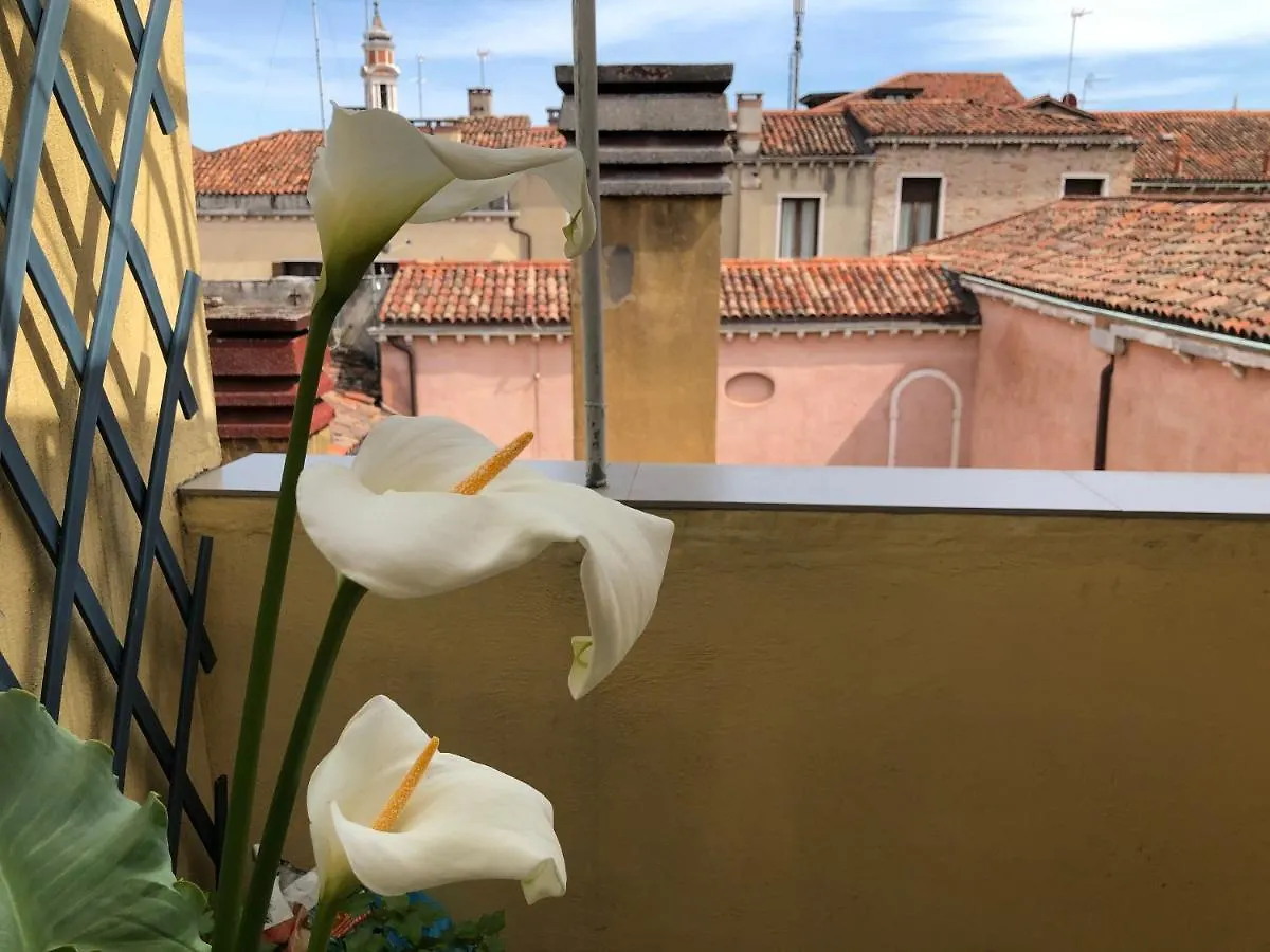 Venezia - Ca' D'Oro: Bella Casa Con Terrazzi Lejlighed
